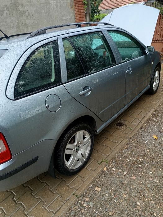 Vand skoda fabia