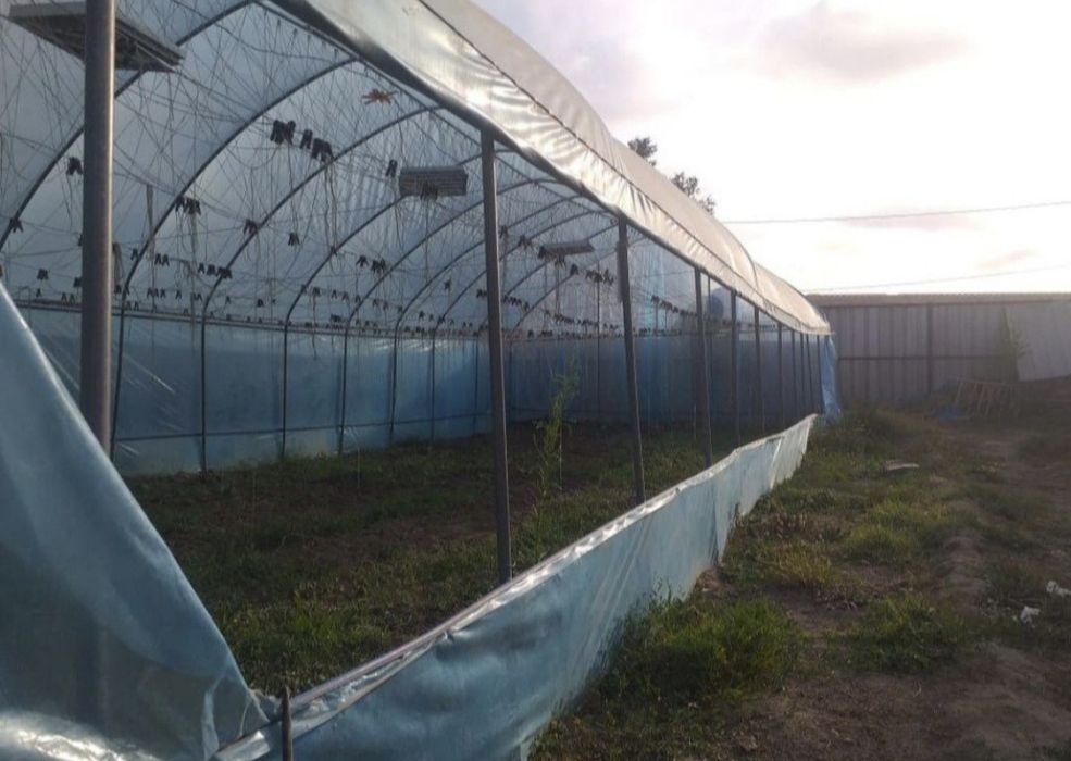 Теплица нержавеющая