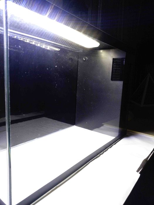 Аквариум с фильтром.