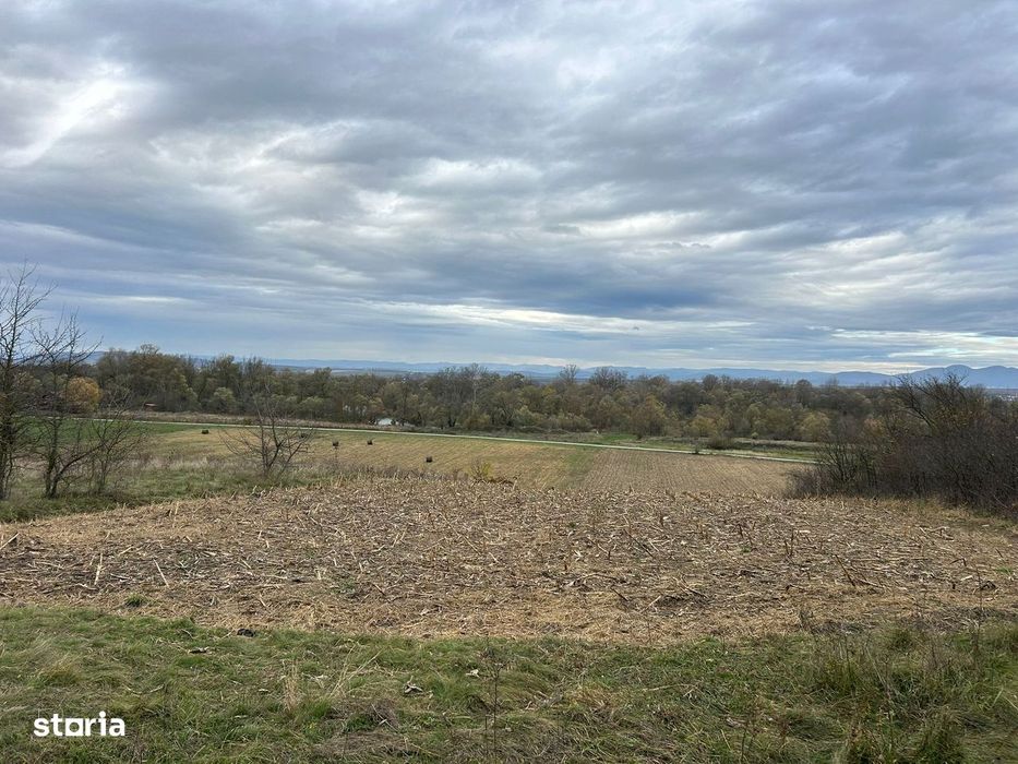 teren ideal pentru cabana