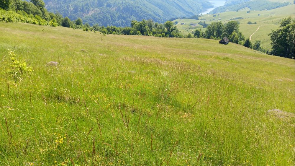 Teren de vânzare la munte - Jina, Sibiu