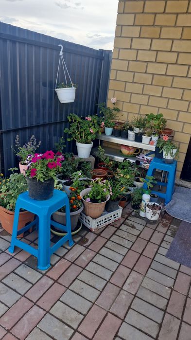 Продам дом ,с Жибек жолы