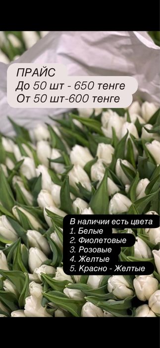 Принемаем предзаказ к 8 марта Тюльпаны