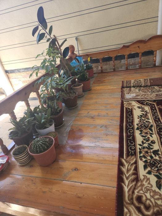 20 сотихли участка сотилади