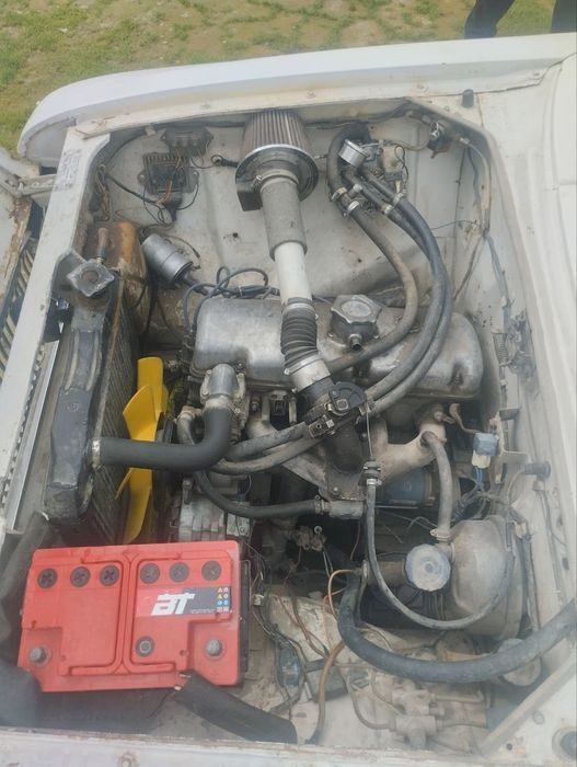 Холати зур тел клорасла