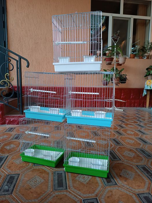 Попугай волнистые сатылалды