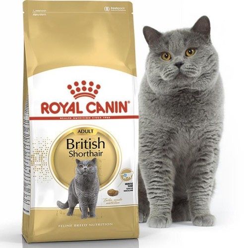 Сухой корм Royal Canin British Shorthair