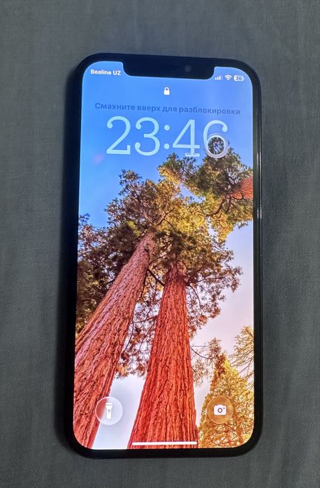 Iphone 12 pro 256 gb