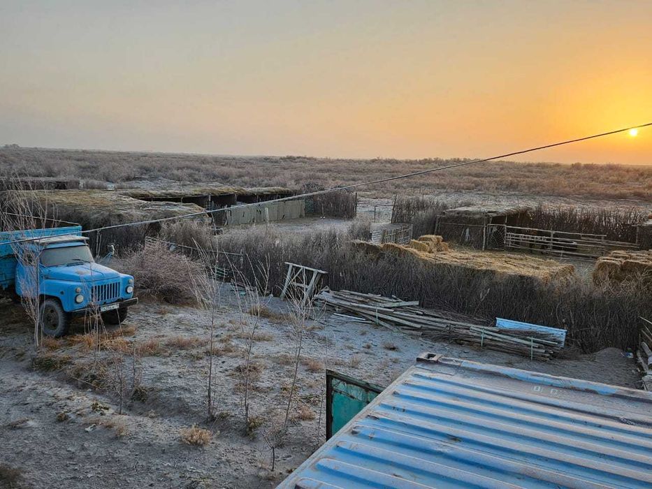 Фазенда сатылады