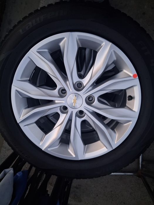 17 malibu premer arginal diska balon