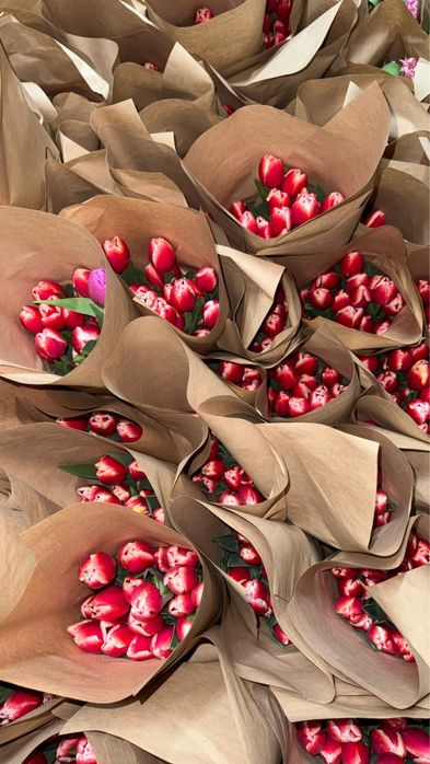 Тюльпаны оптом/розница (Принимаем предзаказы на тюльпаны)