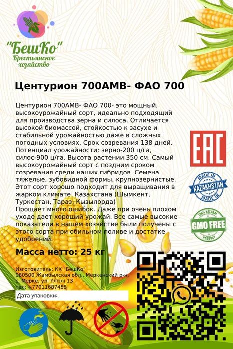 Семена кукурузы. Жүгері ұрығы.