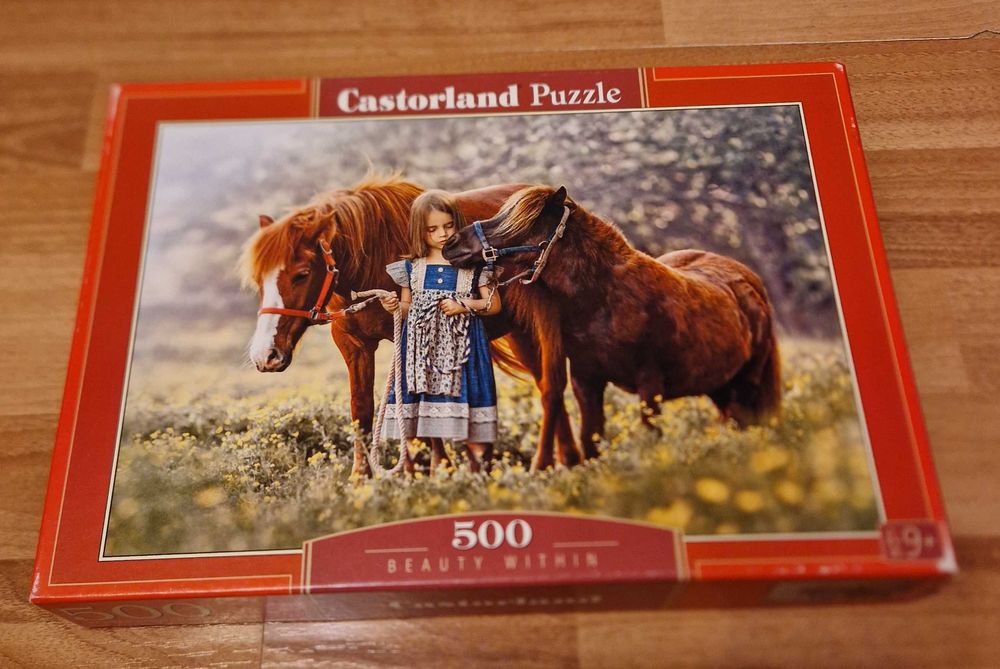 Puzzle diverse modele/ Cine stie castiga/ Set de tesut