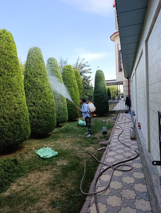 Дизенфекция Дорилаш