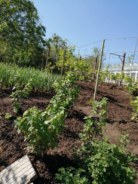 Продава се Къща в Две могили - 240 кв.м за 455 €/кв.м - Снимка #22