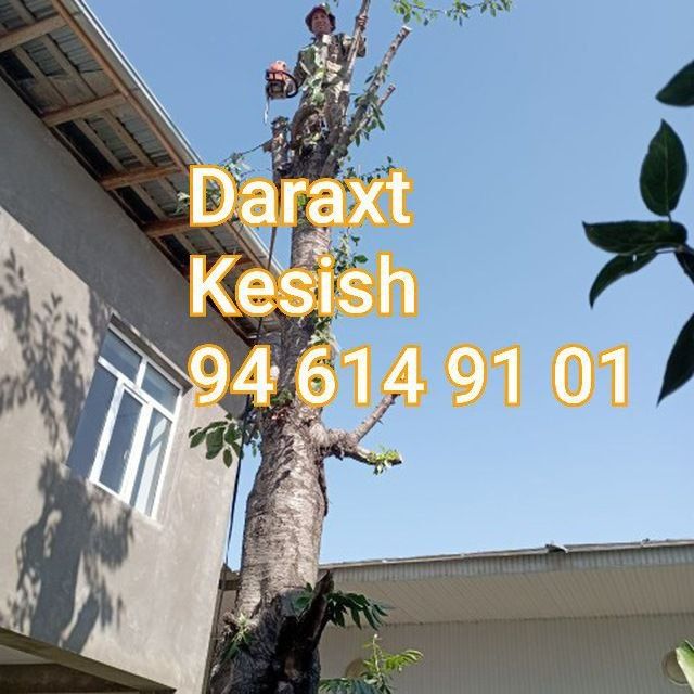 Богбон. Хизмати. Малакали