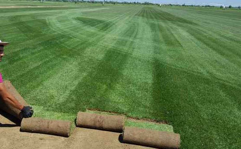 Gazon Rulou sisteme de Irigare