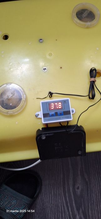 Controler maternitate pui