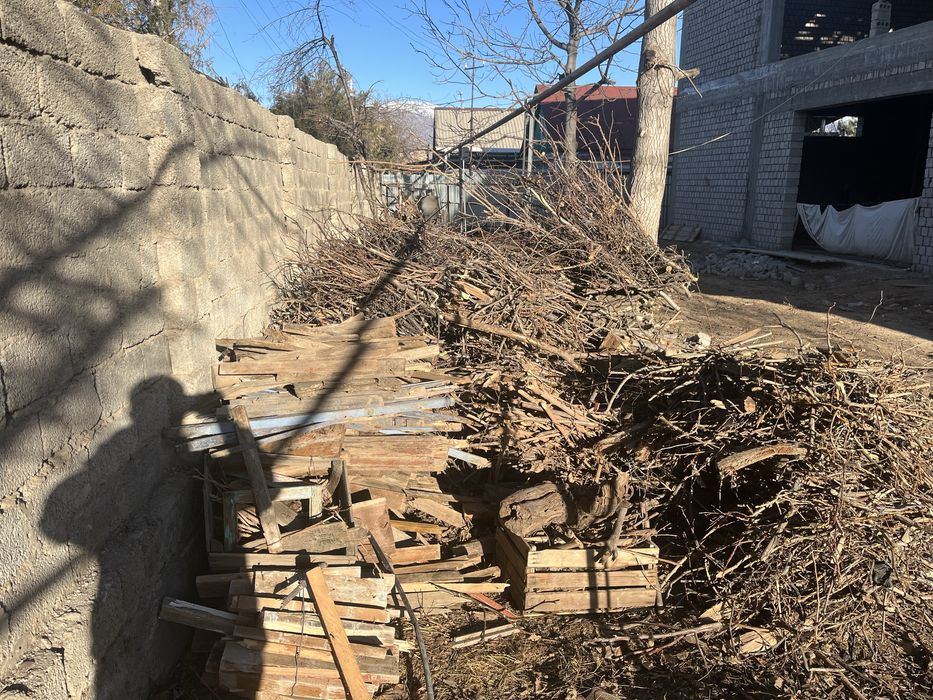 Utin shoxla sotiladi