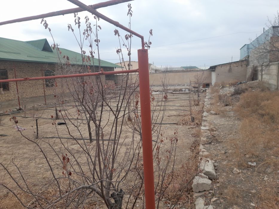 Ховли Зарафшонда