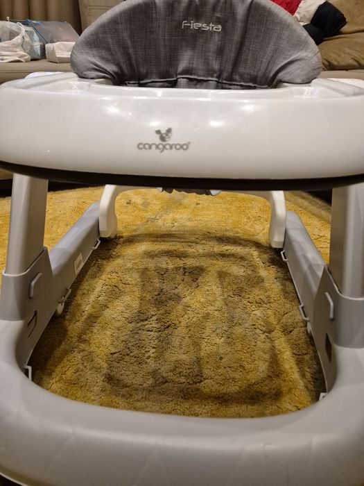 Проходилка  за деца