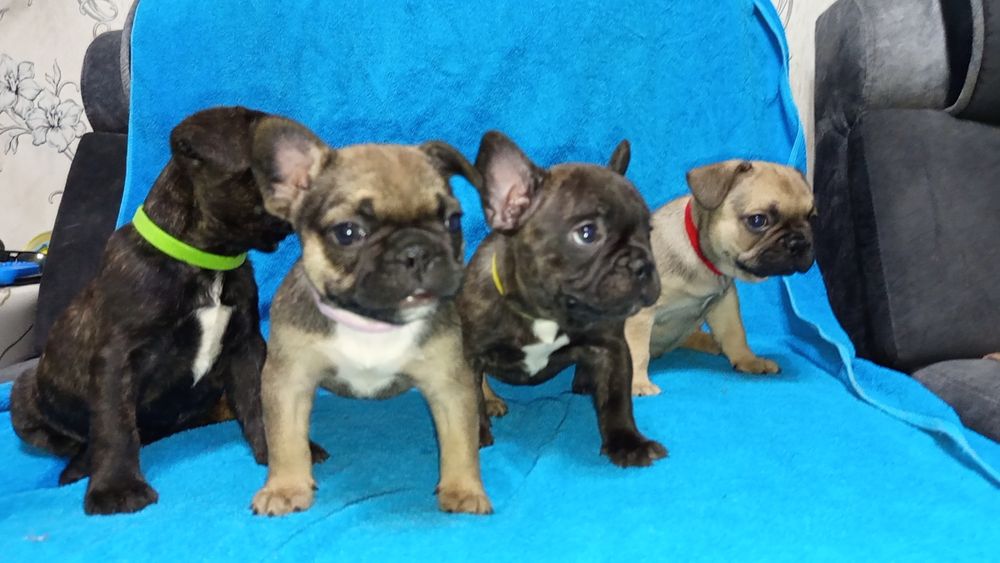 Ранее бранирование