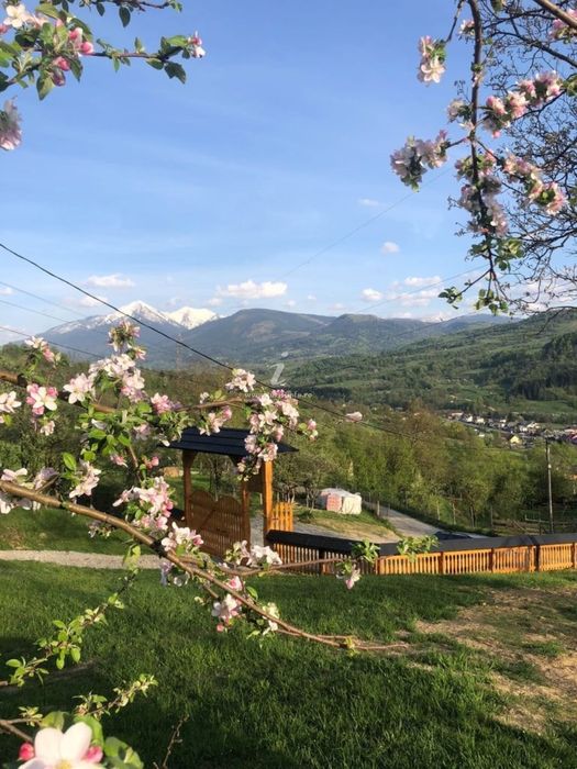 Cabana de inchiriat borsa moisei viseu