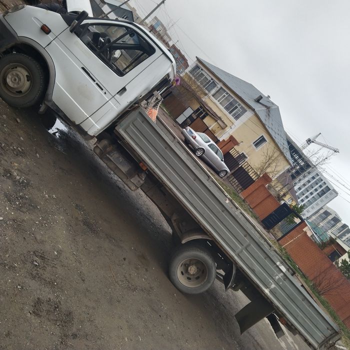 Газель бартавой 4-20