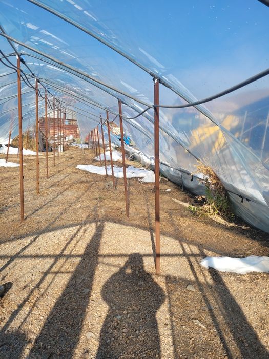 Продаётся Теплица срочно