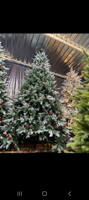 Оптом ёлкалар сатылады