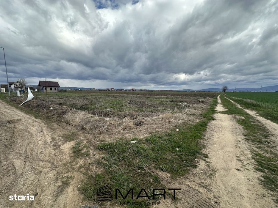 Teren intravilan 520 mp Harman