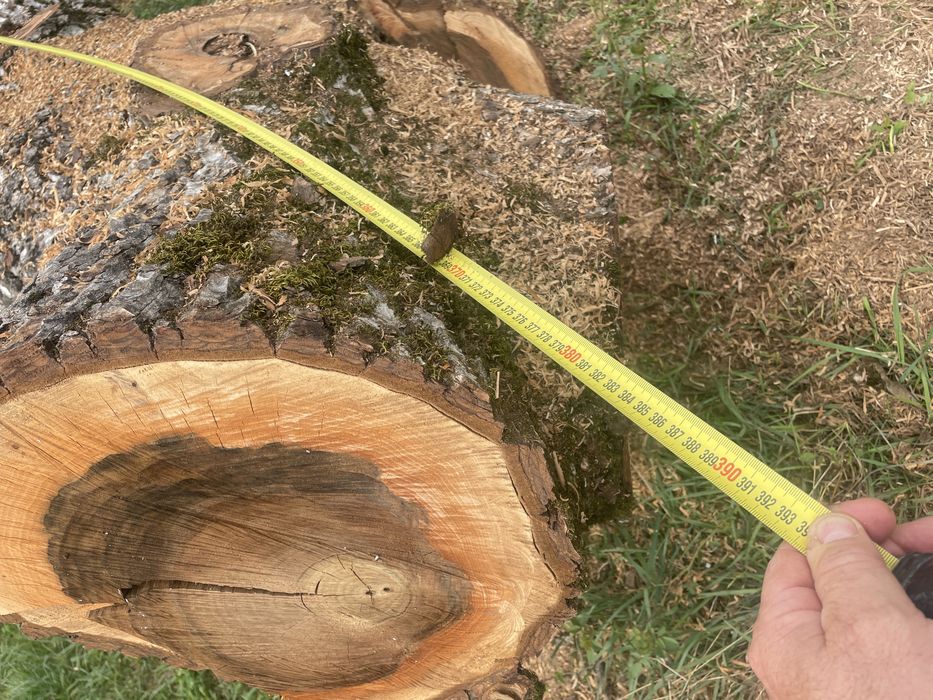 Vand lemn de nuc -trunchi