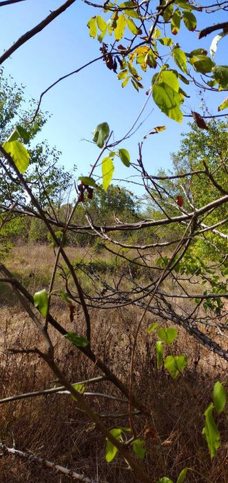 Продава се Къща в с. Овчага, Област Варна - 70 кв.м за 190 €/кв.м - Снимка #3