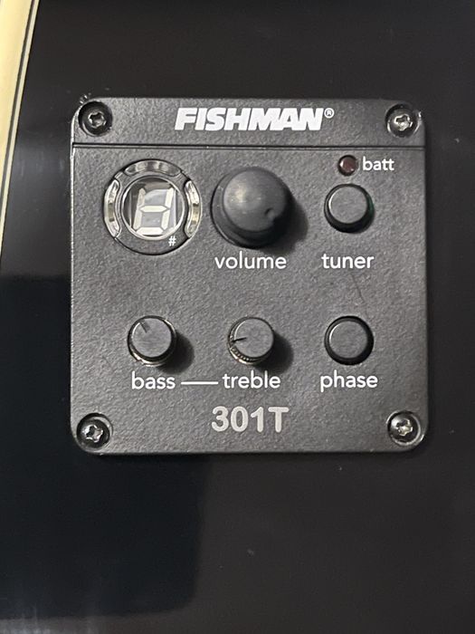 Гитара Washburn EA-40 SNB Black