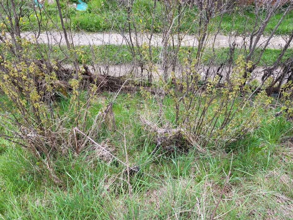 Парцел с одобрен ПУП