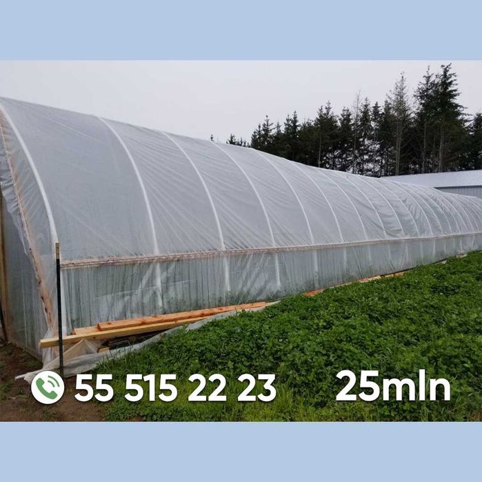 Koreya issiqxonalari va issiqxona uchun materiallar