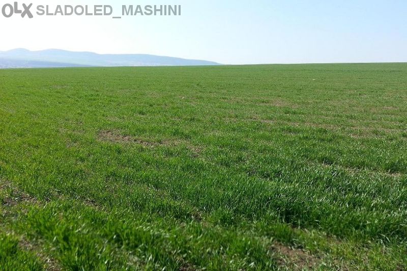 Топ Цена € 6/кв.м.! Земя с утвърдена площадка в село Александрово