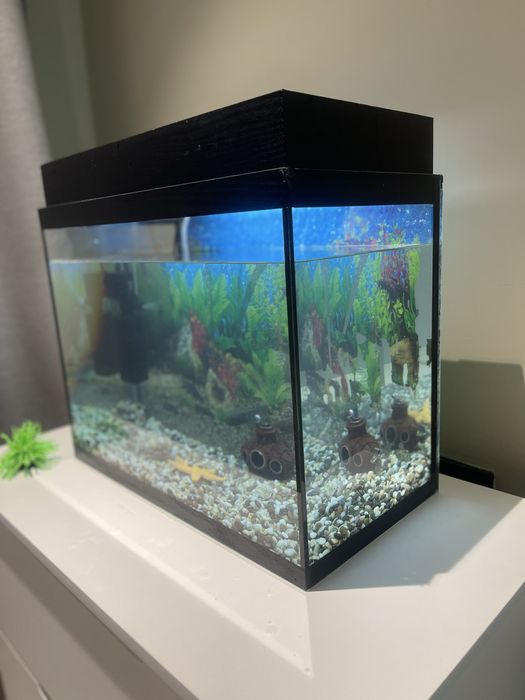 Продам Аквариум Очень Красивое