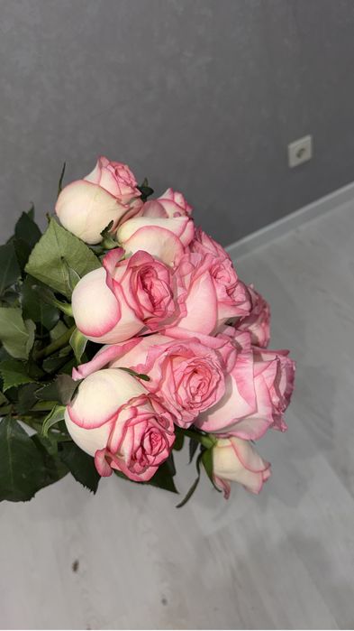 Розы свежые 17 шт