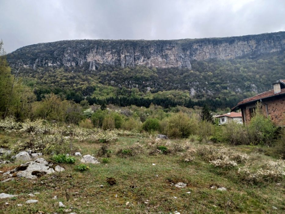 Продава се Парцел в с. Паволче, Област Враца - 2365 кв.м за 20 €/кв.м - Снимка #2