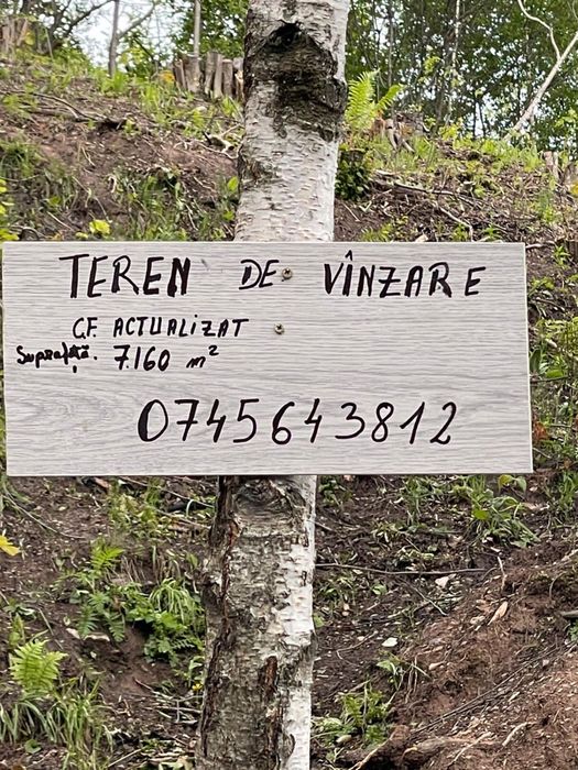 Teren de vânzare!