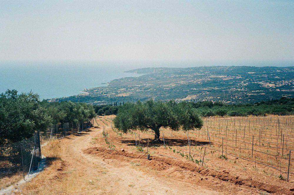 Olympus Mju II / Stylus Epic - point and shoot cu husa originala in stare foarte buna si testat cu film