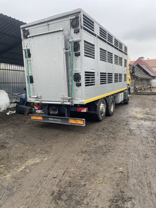 Transport animale vii