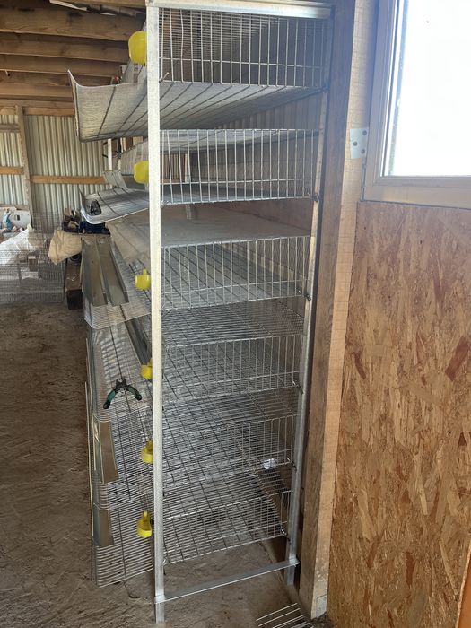 Клетка для содержания перепелов