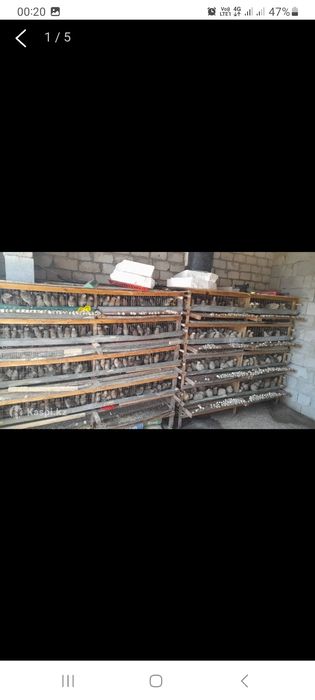 Перепелка оборудования