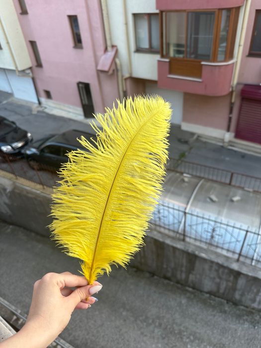 Щраусови пера в различна гама от цветове