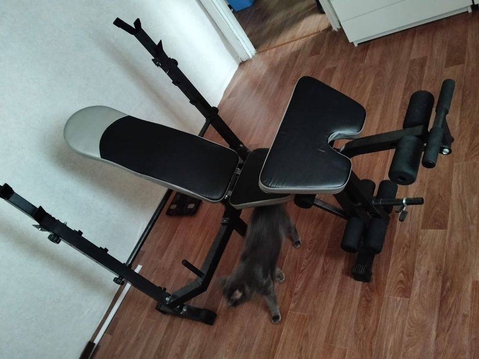 Скамейка для жима лёжа