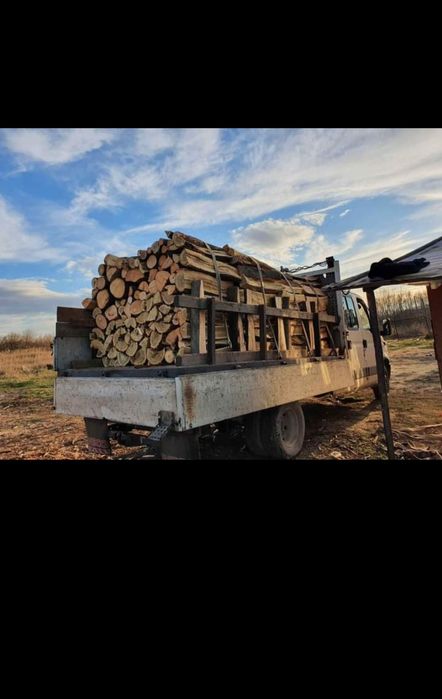 Lemne de foc de stejar