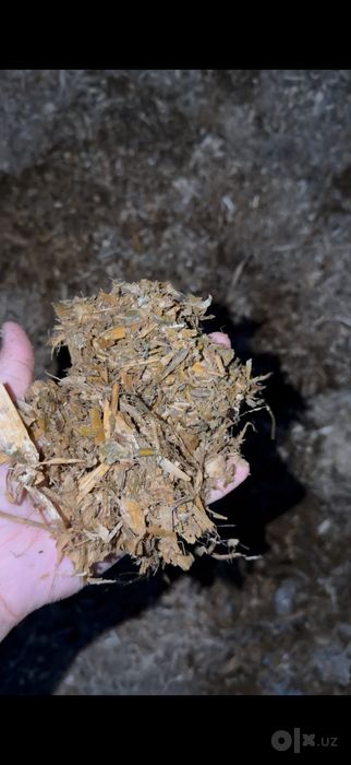 Selos optom sotiladi