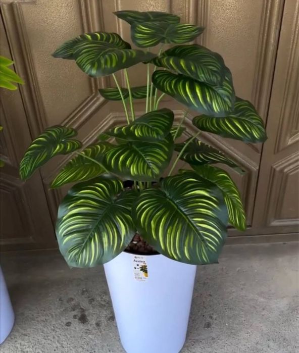 suniy dekorativ gullar bor